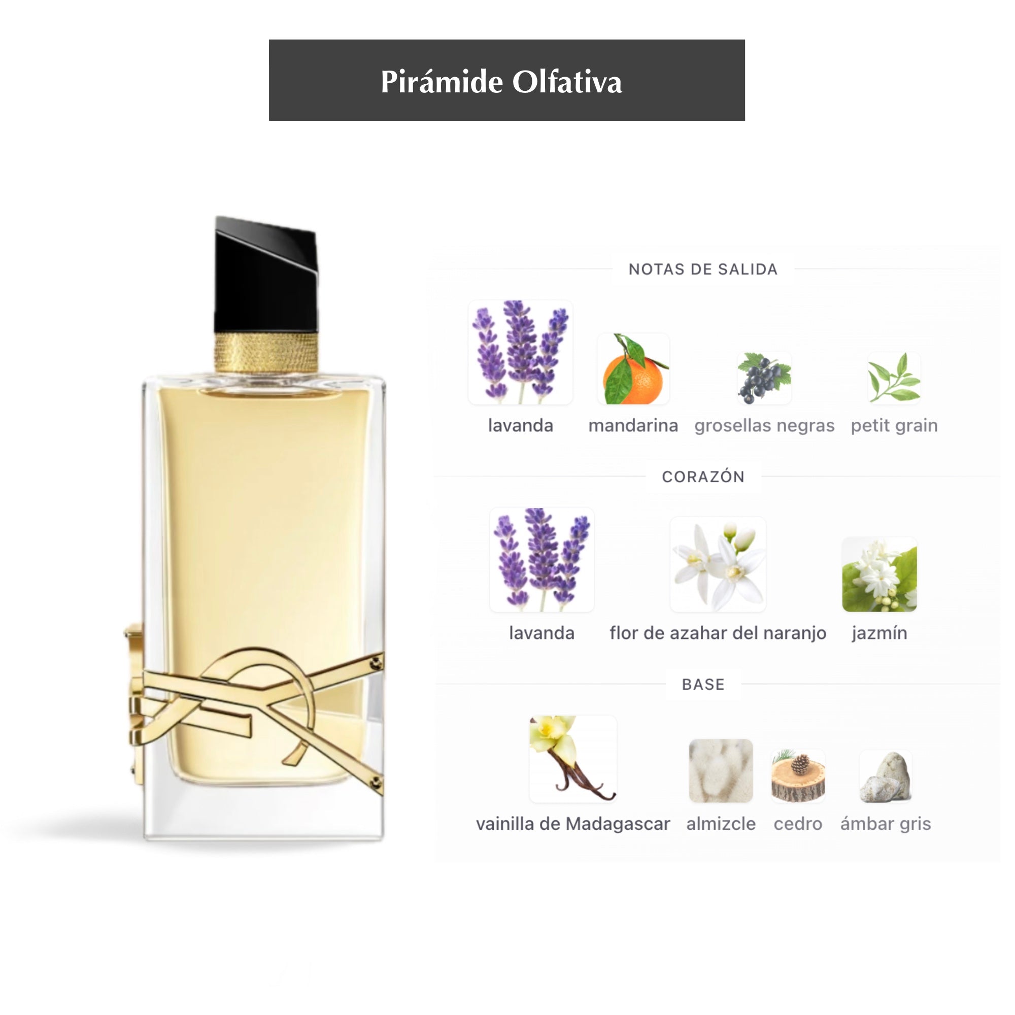 Libre (Eau de parfum)