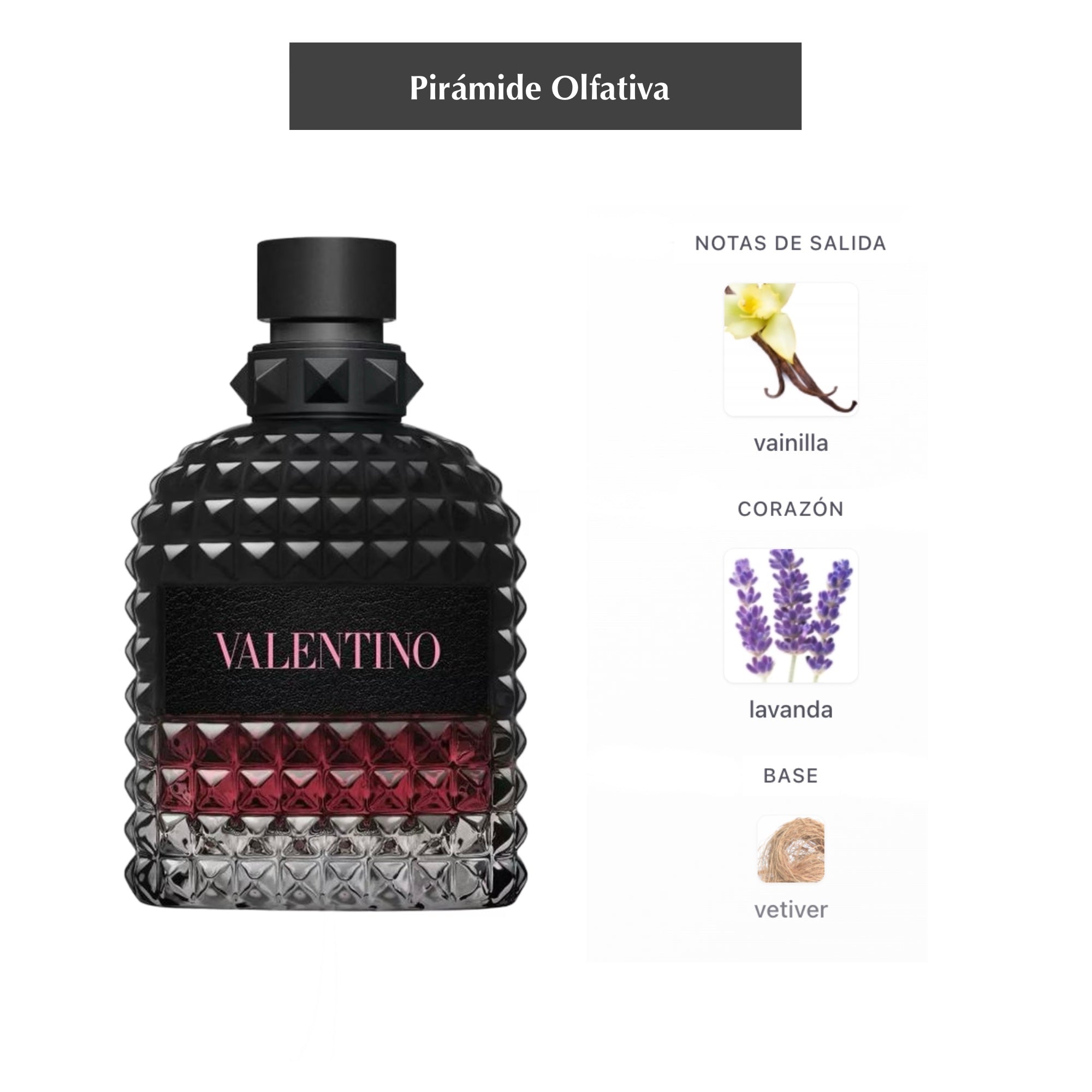 Uomo Born in Roma Intense