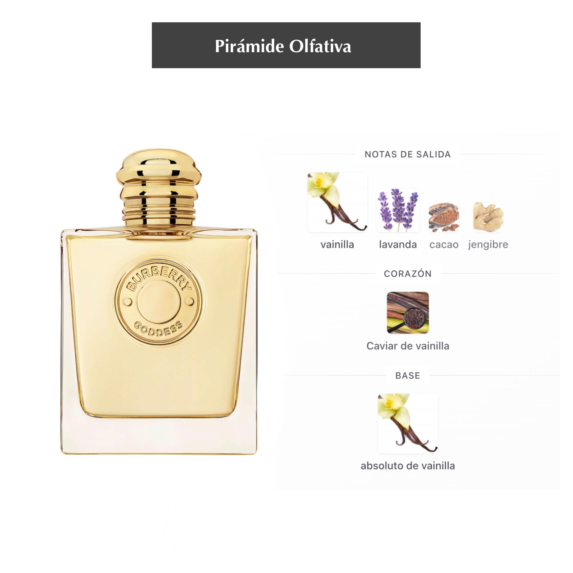 Burberry Goddess (Eau de parfum)