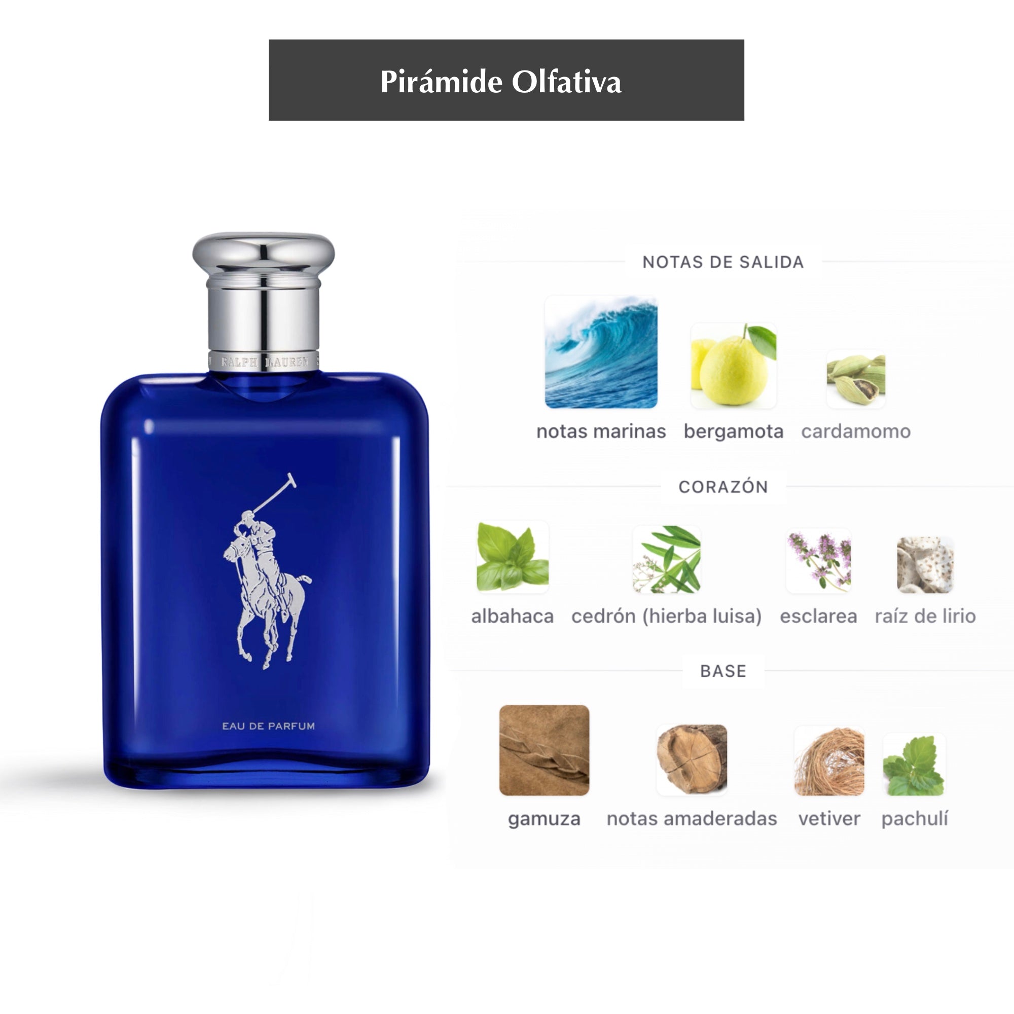 Polo Blue (Eau de Parfum)