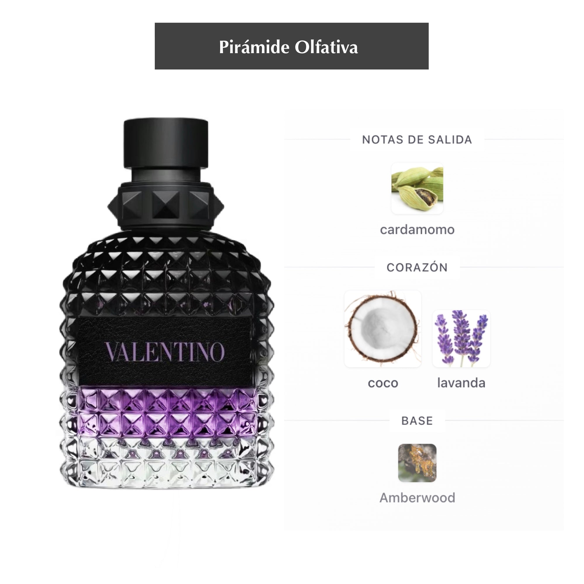 Uomo Born in Roma Purple Melancholia